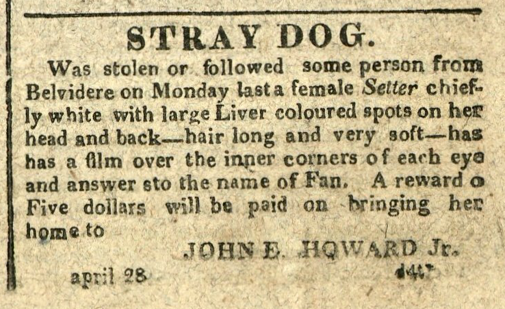 Advertisement: Stray Dog. Was stolen or followed some person from Belvidere on Monday last
